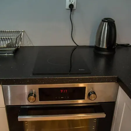 Apartament Salonik u Kazimierza Stary Toruń Zewnętrze zdjęcie