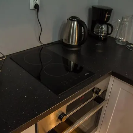 Apartament Salonik u Kazimierza Stary Toruń Zewnętrze zdjęcie